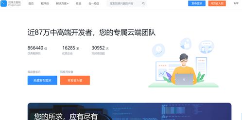 程序员如何利用软件外包服务开展副业